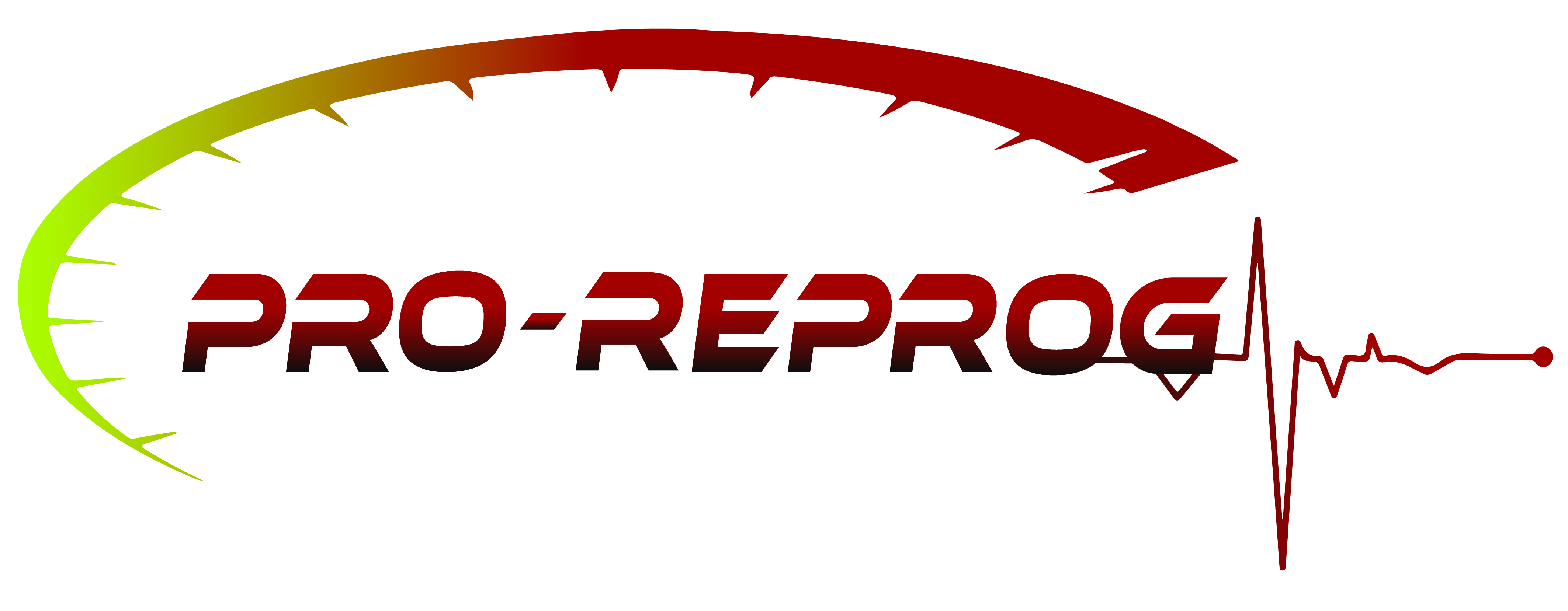Digital Pro Reprog